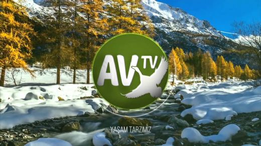 Av Tv Frekans